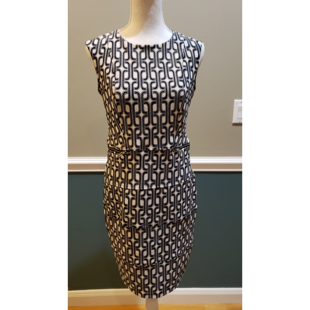 Enfocus Studio spring work dress